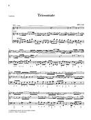 Bach: Triosonate für ZweiFloten Und Continuo