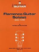 Flamenco Guitar Soloist 3