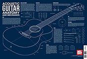 Acoustic Guitar Anatomy And Mechanics Wall Chart