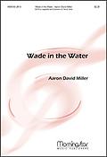 Wade In the Water