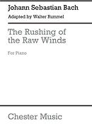 J.S.Bach/Walter Rummel: The Rushing Of The Raw Winds