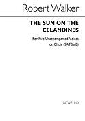 Sun On The Celandines