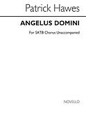 Angelus Domini