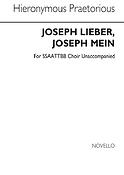 Joseph Lieber, Joseph Mein