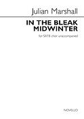 Julian Marshall: In The Bleak Midwinter 