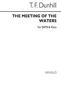 The Meeting Of The Waters