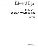 E It's Oh! To Be A Wild Wind Ttbb