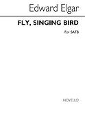 Fly Singing Bird