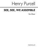 See See We Assemble