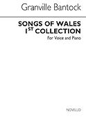 Songs Of Wales Book 1 for Voice and Piano