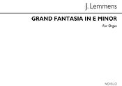 Grand Fantasia: The Storm In E Minor fuer
