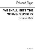 We Shall Meet The Morning Spiders
