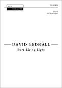 David Bednall: Pure living light