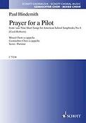 Prayer For A Pilot