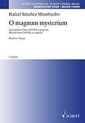 Rafael Sßnchez Mombiedro: O magnum mysterium