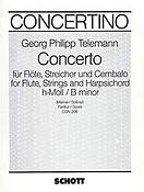 Concerto B minor