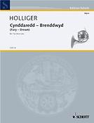 Holliger: Cynddaredd - Brenddwyd