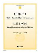 Bach: Willst du dein Herz mir schenken / Kein Hälmlein wächst auf Erden BWV 518