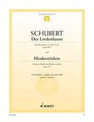 Franz Schubert:  Der Lindenbaum / Heidenröslein E major op. 89/5 / op. 3/3 D 911/5 / D257