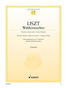 Liszt: fuerest Murmur