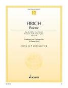 Fibich: Poème op. 39