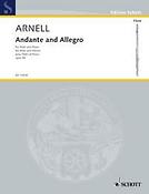 Andante and Allegro op. 58/1