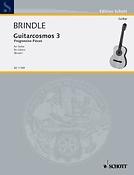 Reginald Smith Brindle: Guitarcosmos 3