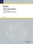 Esurientes Implevit Bonis BWV 243