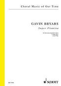 Bryars: Super Flumina