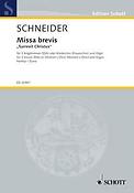 Missa brevis Surrexit Christus