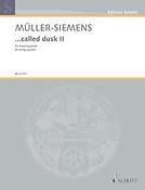 Detlev Mueller-Siemens: ...called dusk II