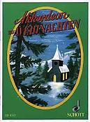 Akkordeon Zu Weihnachten
