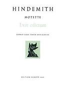 13 Motetten
