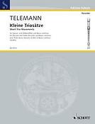 Georg Philipp Telemann: Kleine Triosatze