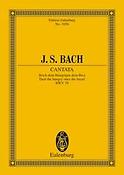 Bach: Cantata No. 39 (Dominica 1 post Trinitatis) BWV 39
