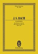 Bach: Cantata No. 158 BWV 158