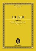 Bach: Cantata No. 131 (Psalm 130) BWV 131