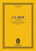 Bach: Cantata No. 117 BWV 117