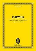 Pfitzner: A German Soul op. 28