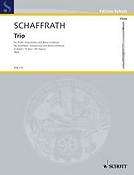 Schafuerath: Trio D major