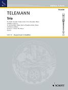 Telemann: Trio D minor