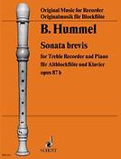 Sonata brevis op. 87b