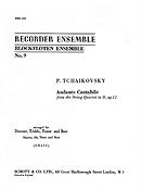 Pyotr Ilyich Tchaikovsky: Andante Cantabile