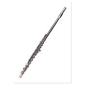 Ansichtkaart Flute (10 pcs)