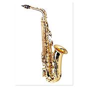 Ansichtkaart Saxophone (10 pcs)