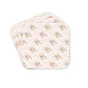Coasters Ballet