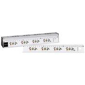Ruler box Little Phils 30cm (20 pcs)(20 pieces per packing unit)