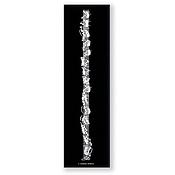 Bladwijzer Bach Signature(5,6 x 20 cm)