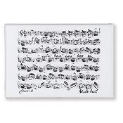 Magnet Bach white