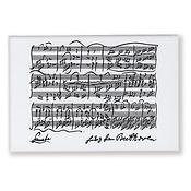 Magnet Beethoven white